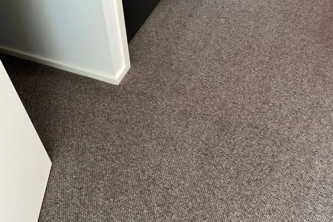 Hallway carpet after cleaning in Barwon Heads