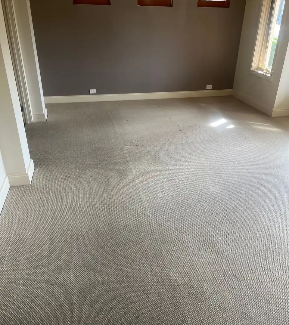 Carpet after cleaning in Highton