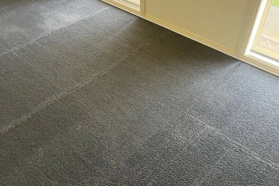 Carpet after cleaning in Waurn Ponds