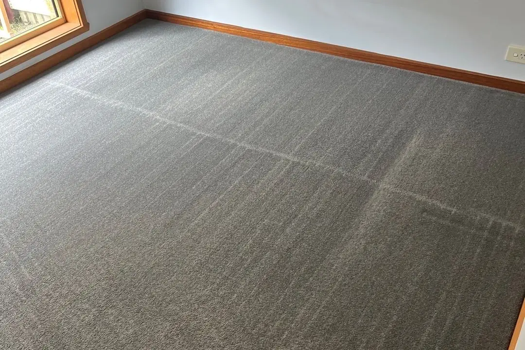 Carpet after cleaning in Whittington