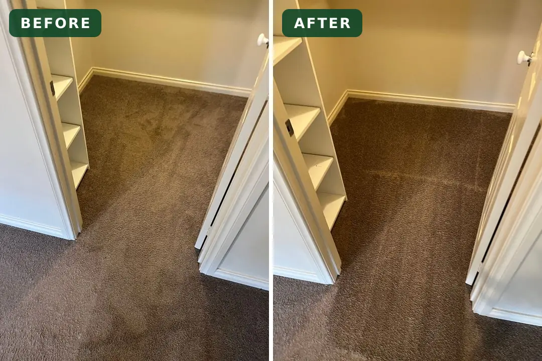 Marked carpet beside built-in shelves before and after cleaning in Bannockburn