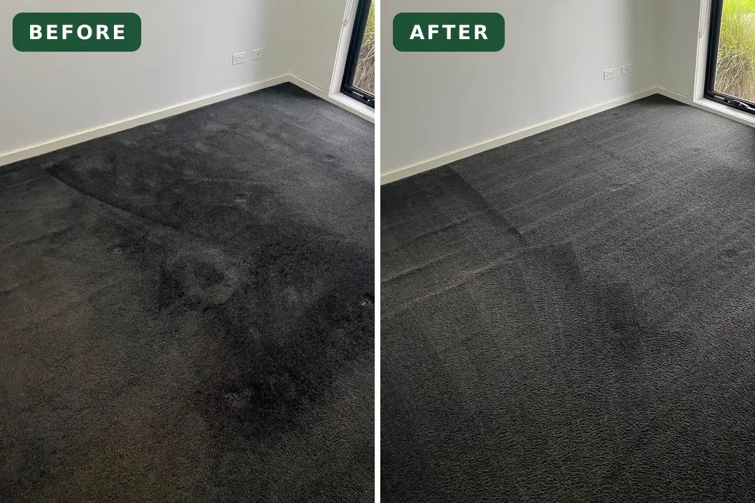 Stained carpet before and after cleaning in Belmont