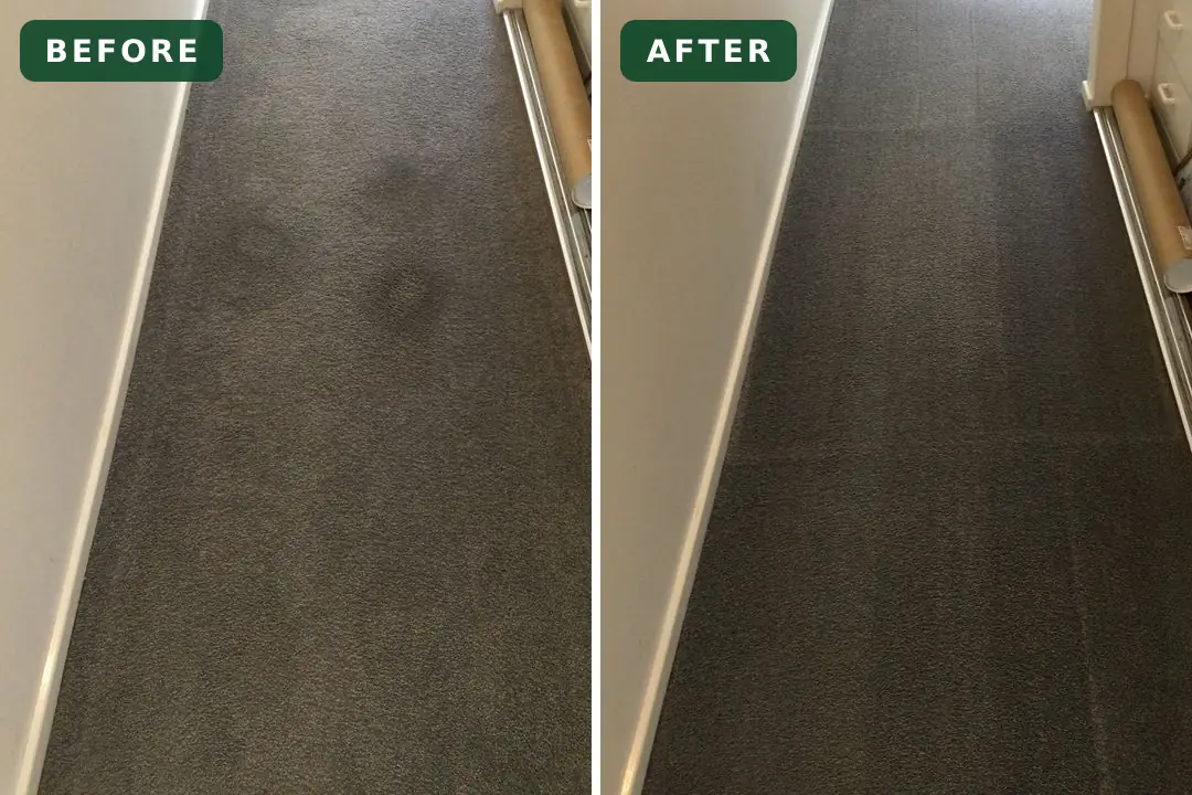 Stained carpet before and after cleaning in Drysdale