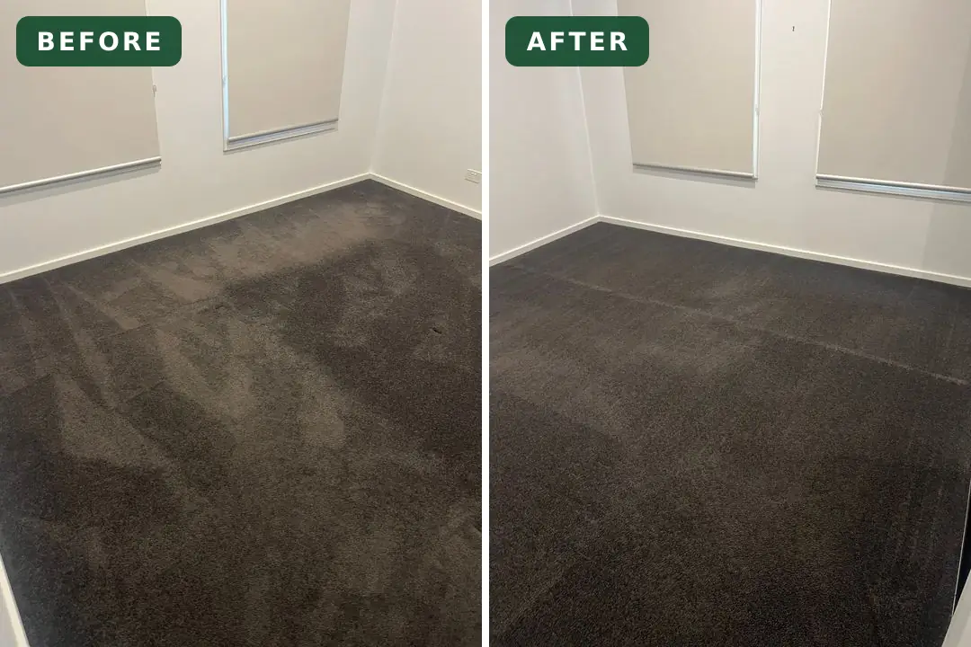 Soiled carpet before and after cleaning in East Geelong