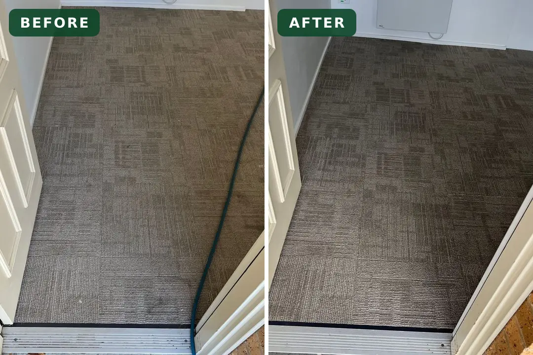 Soiled carpet before and after cleaning in Grovedale