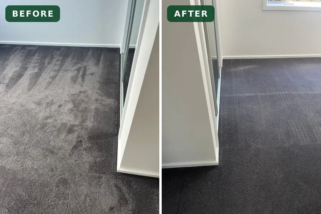 Dirty carpet before and after cleaning in Highton