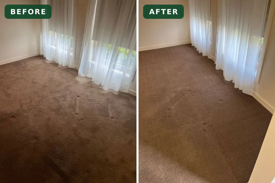 Soiled carpet before and after cleaning in Lara