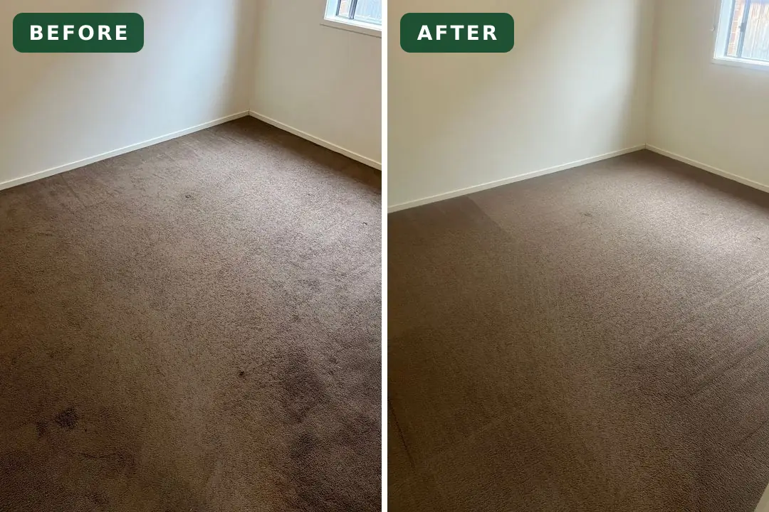 Soiled carpet before and after cleaning in Mount Duneed