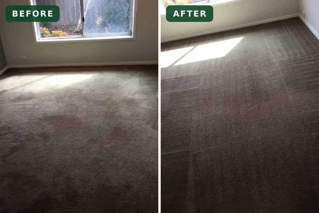 Soiled carpet before and after cleaning in Newcomb
