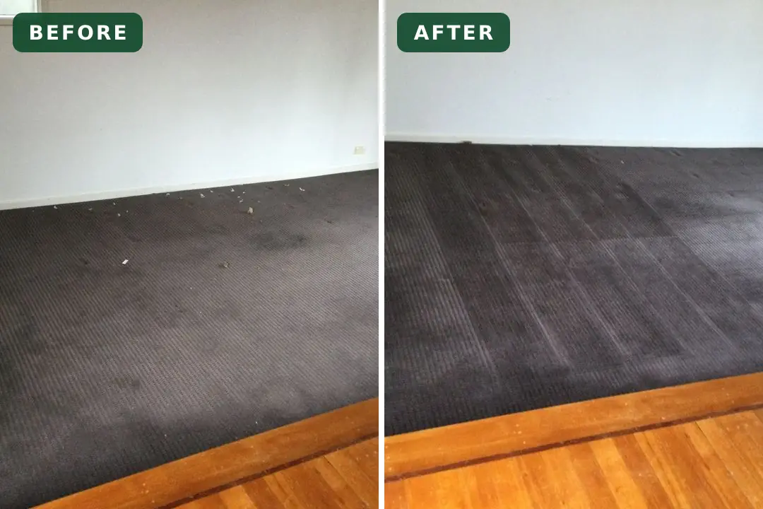 Soiled carpet before and after cleaning in Newtown