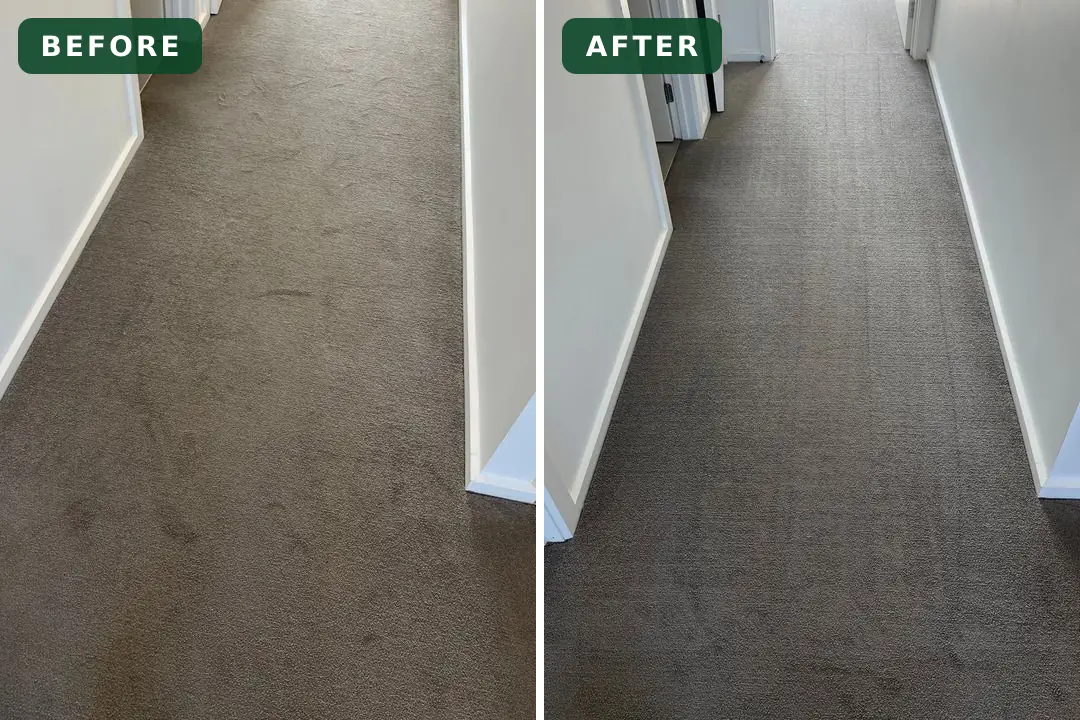 Soiled carpet before and after cleaning in South Geelong