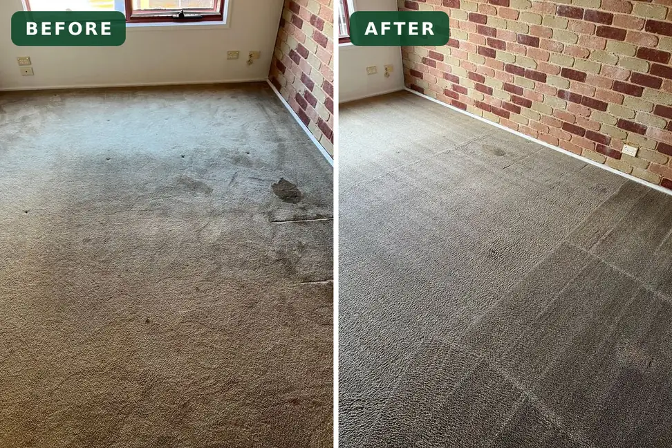 Stained carpet before and after cleaning in Torquay
