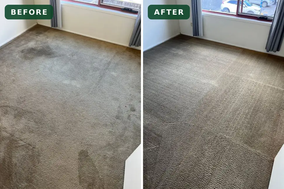 Carpet marks before and after cleaning in Torquay