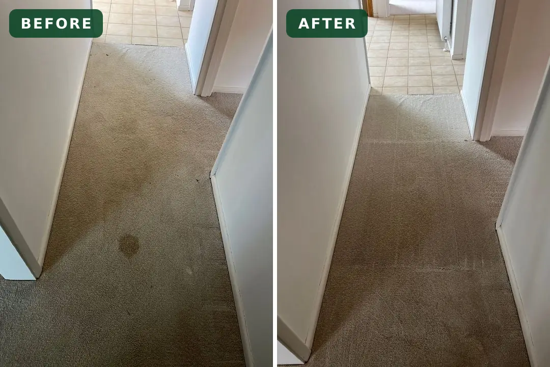 Hallway carpet stain before and after steam cleaning in Newtown