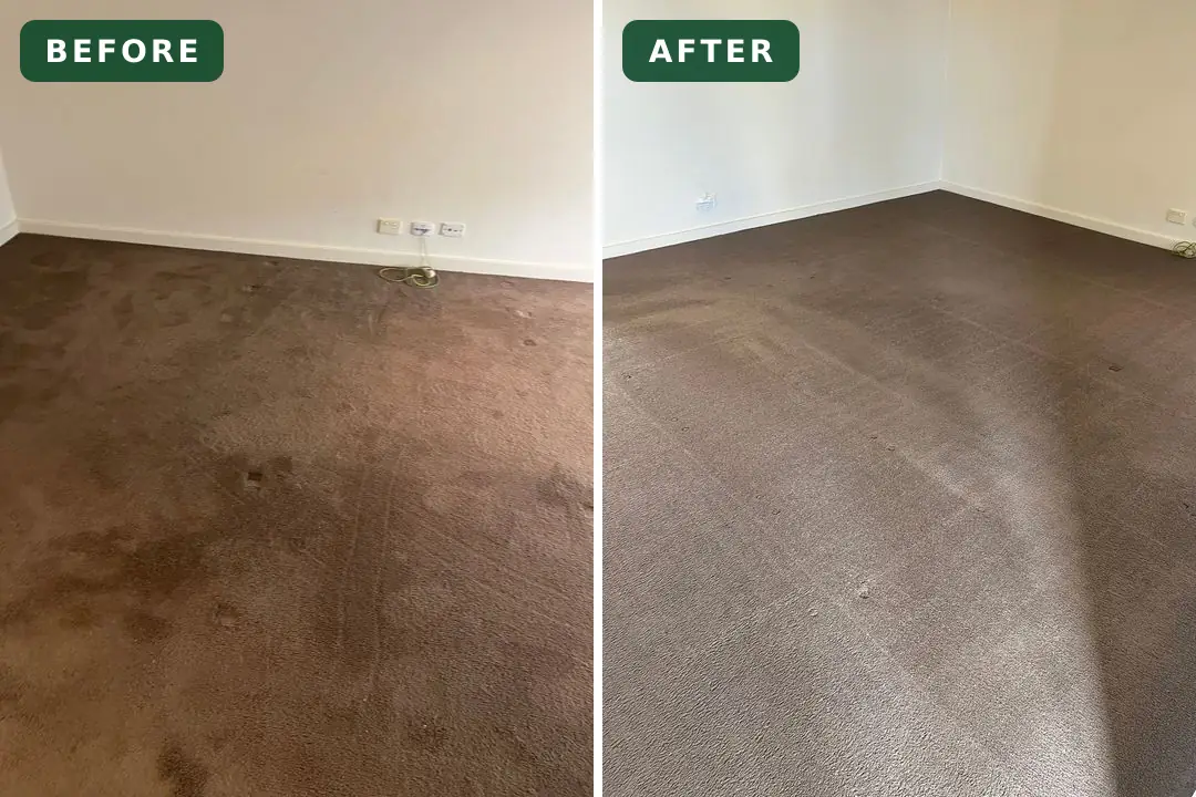 Stained carpet before and after cleaning in Lara