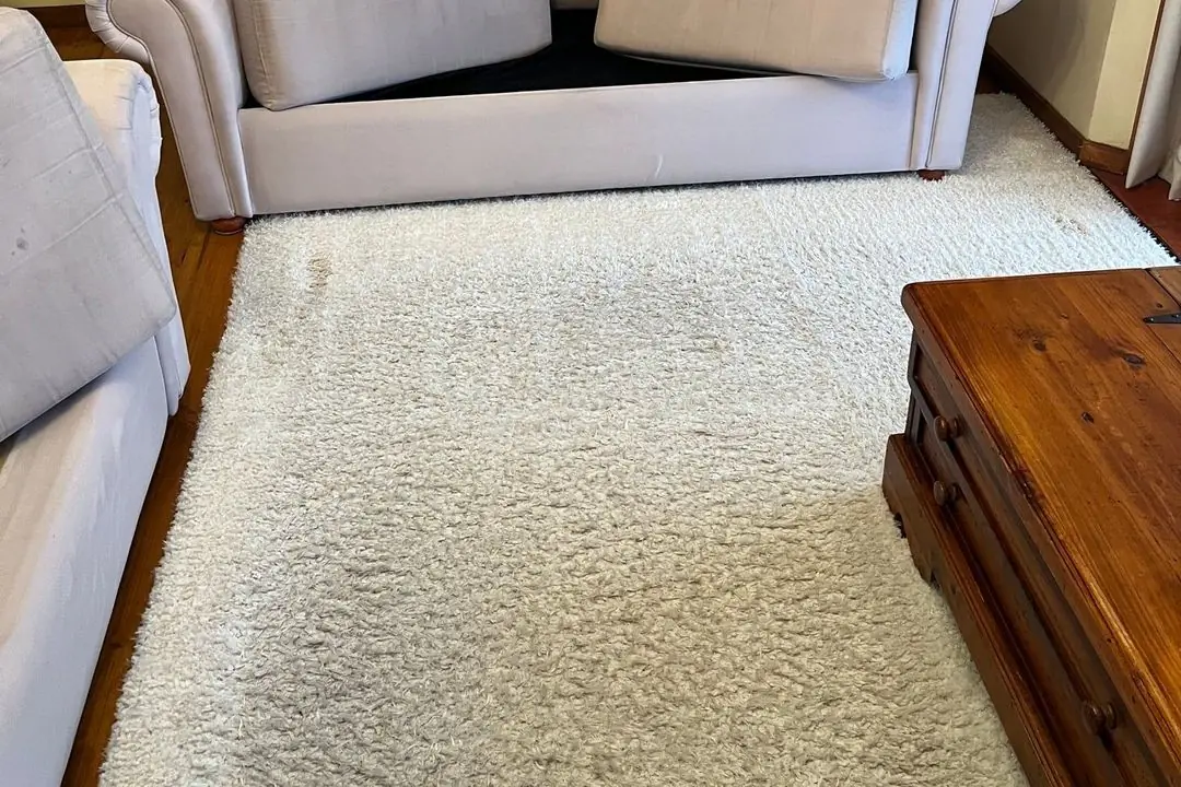 Fabric couch and rug cleaned in Norlane